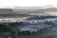 Khám phá vườn quốc gia Bidoup - “Mái nhà Tây Nguyên” Khám phá vườn quốc gia Bidoup - “Mái nhà Tây Nguyên”